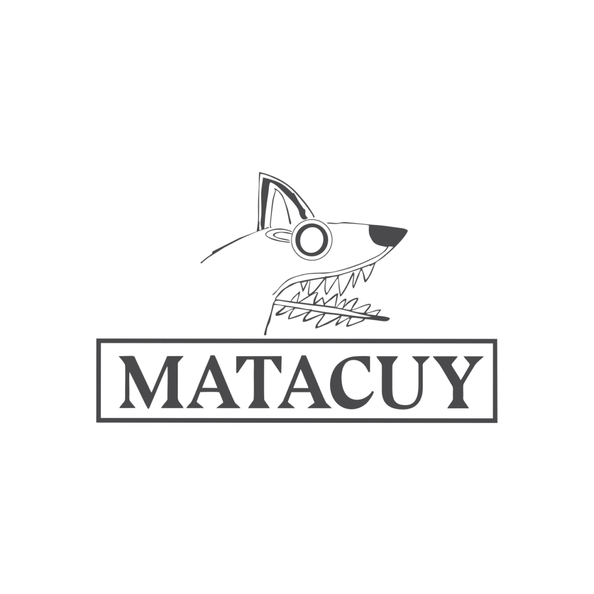 LOGO MATACUY