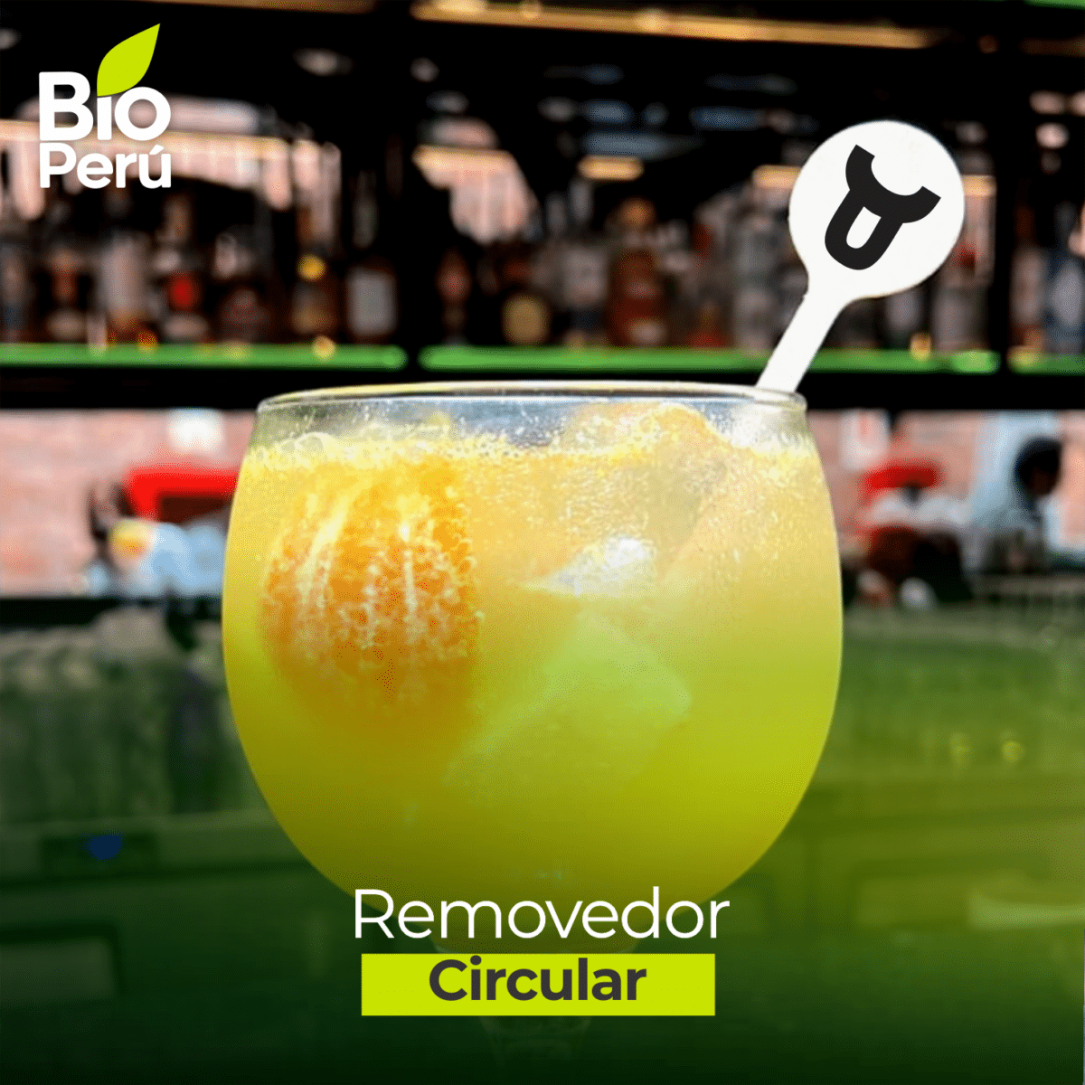 Productos Biodegradables en Perú 4 RCI POST 1